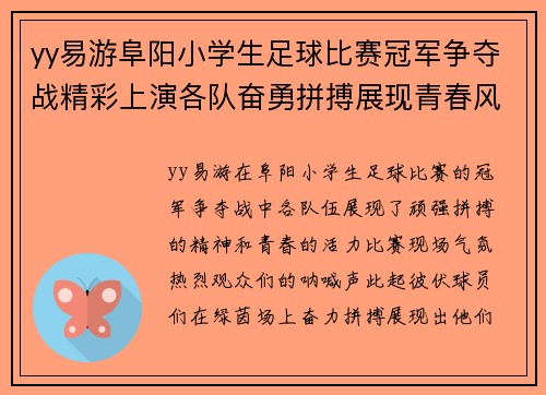 yy易游阜阳小学生足球比赛冠军争夺战精彩上演各队奋勇拼搏展现青春风采