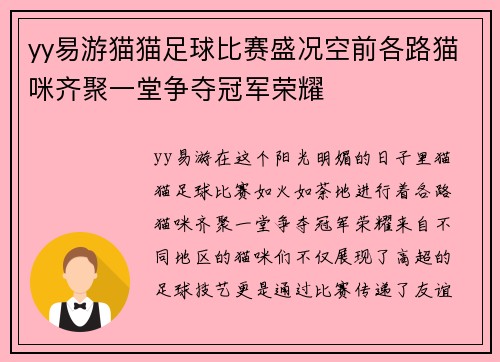 yy易游猫猫足球比赛盛况空前各路猫咪齐聚一堂争夺冠军荣耀